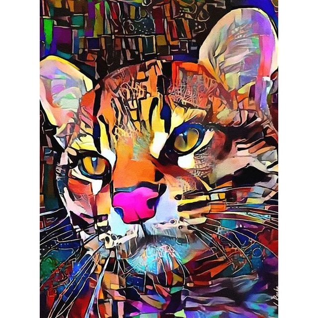 Kit pintura numerada - Leopardo