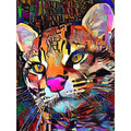 Kit pintura numerada - Leopardo