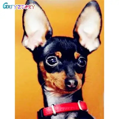 Kit pintura numerada - pinscher