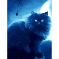 Kit pintura numerada - gato raio azul
