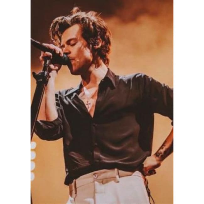 Kit pintura numerada - Harry Styles