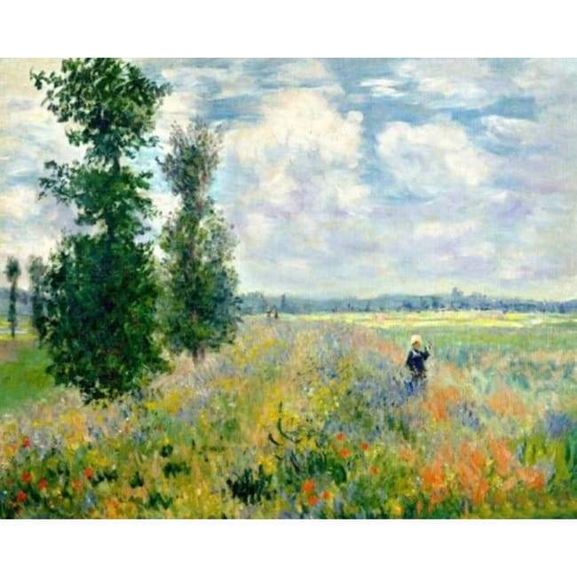 Kit pintura numerada terapêutica - Campos de Papoulas Monet