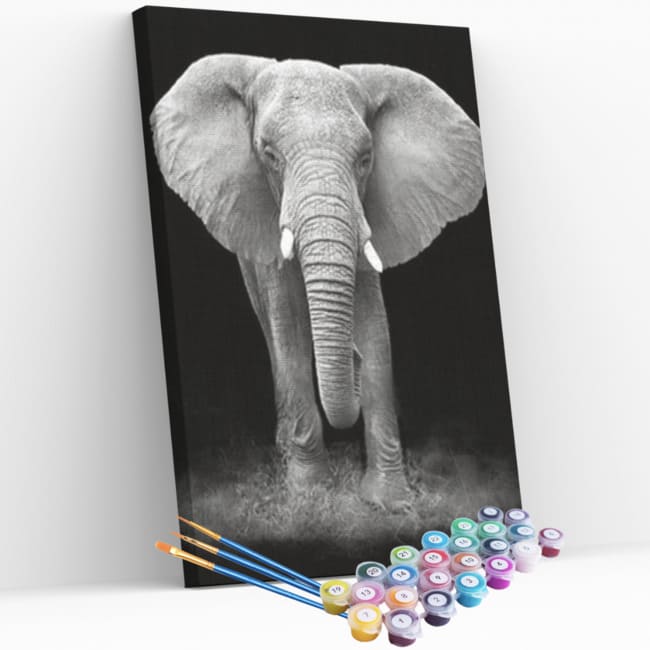 Kit pintura numerada - Elefante P&B