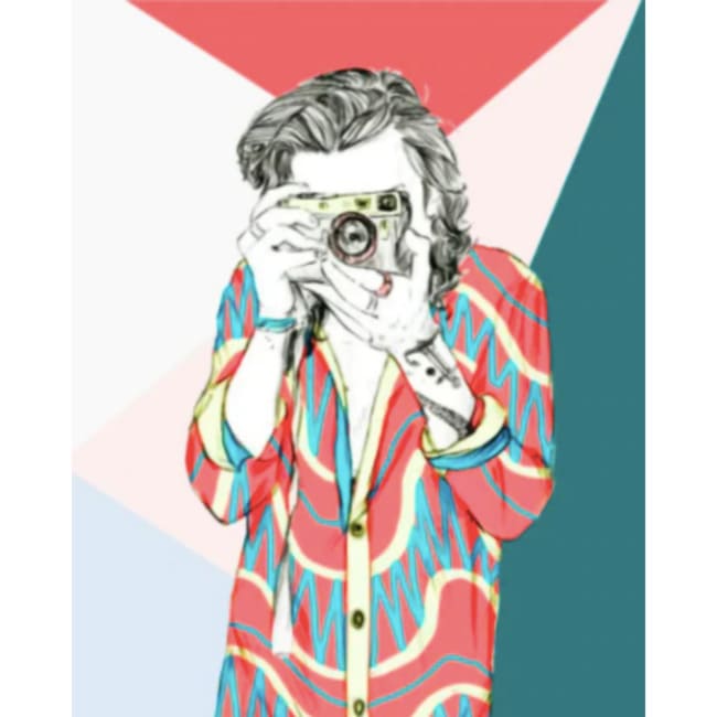 Kit pintura numerada - Harry Styles desenho