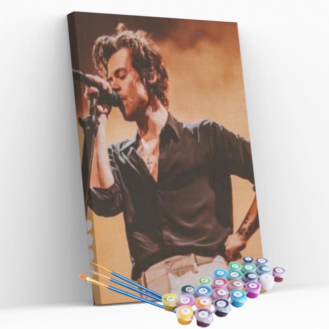 Kit pintura numerada - Harry Styles