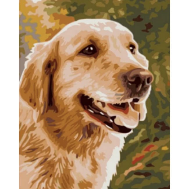 Kit pintura numerada - Golden desenho