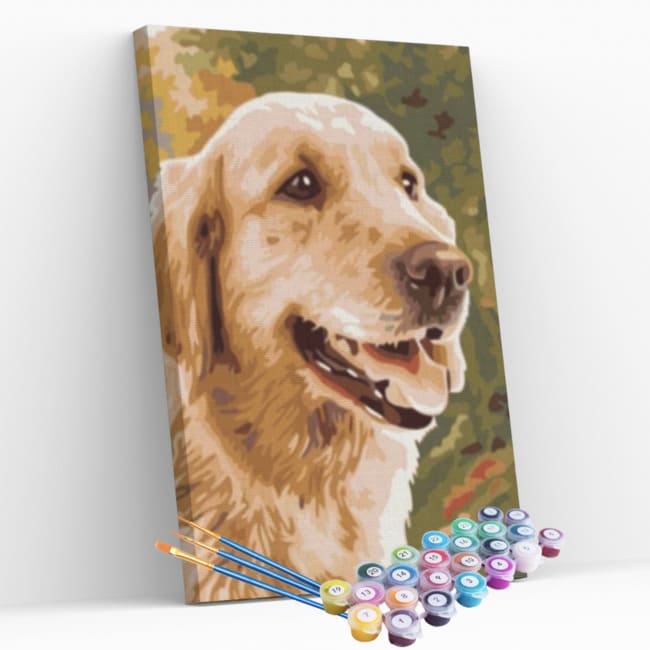 Kit pintura numerada - Golden desenho