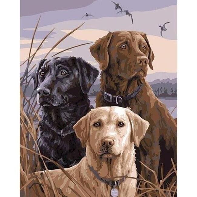 Kit pintura numerada - Cachorros