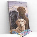 Kit pintura numerada - Cachorros