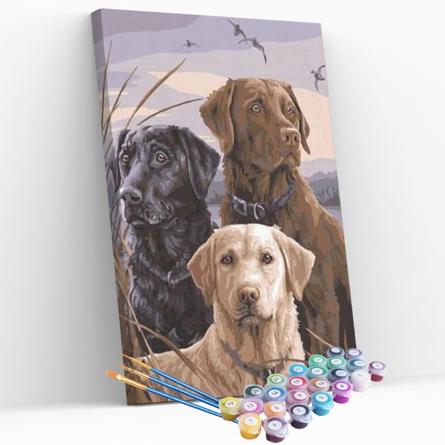 Kit pintura numerada - Cachorros