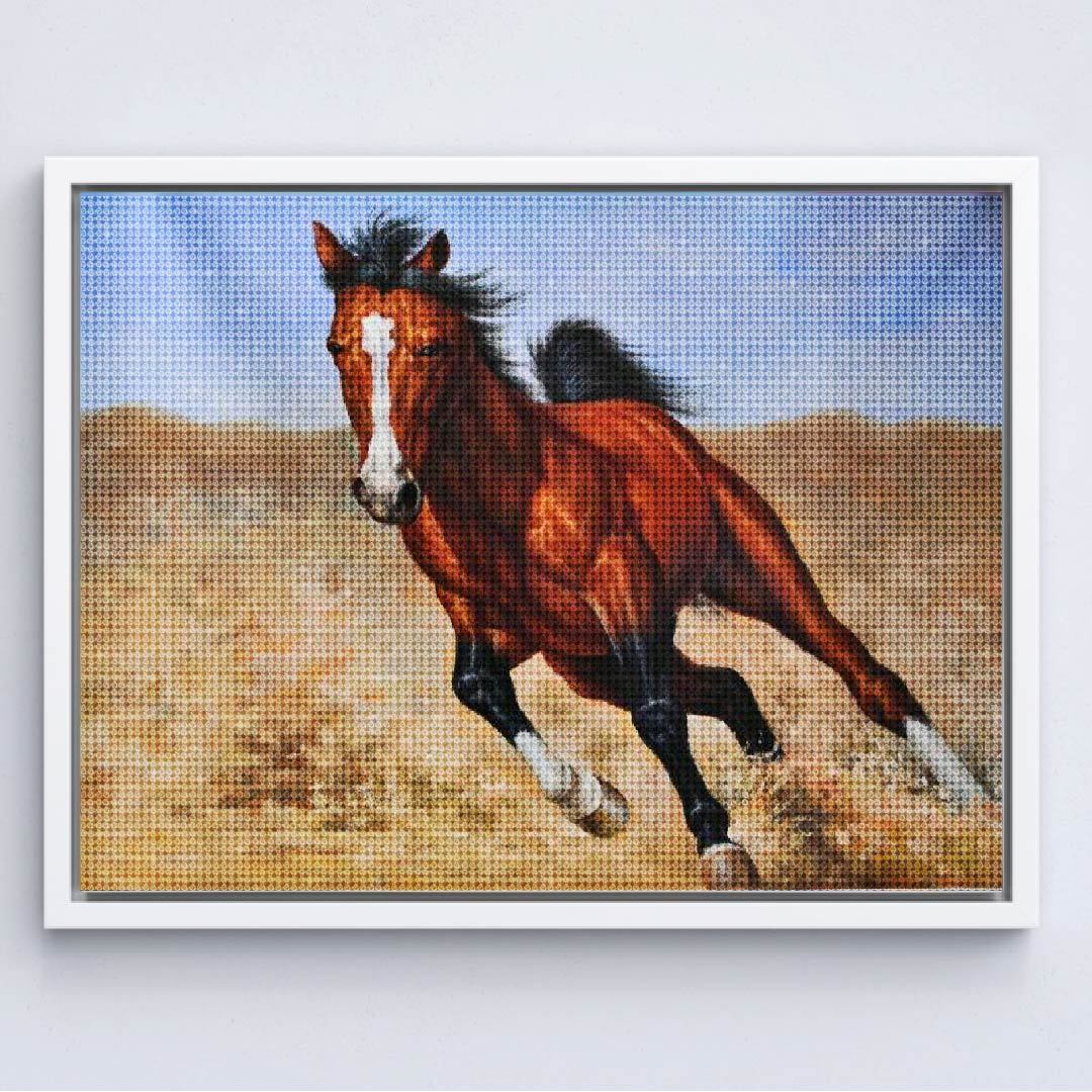 Kit Arte com Diamante - Cavalo
