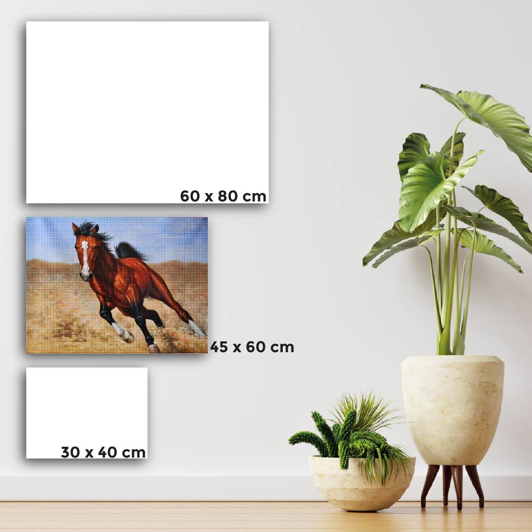 Kit Arte com Diamante - Cavalo