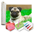 Kit Arte com Diamante - Filhote Pug
