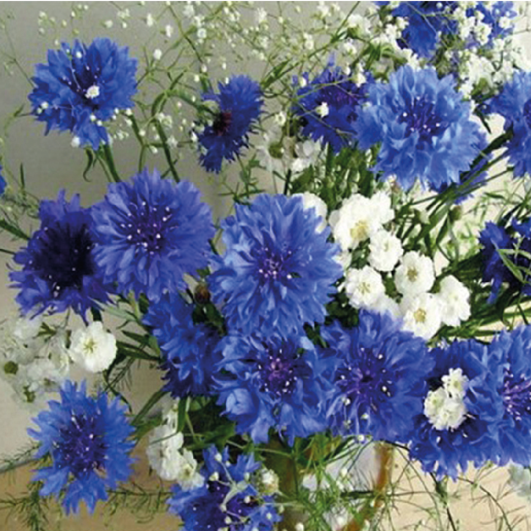 Kit Arte com Diamante - Flor Azul