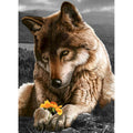 Kit pintura numerada - lobo