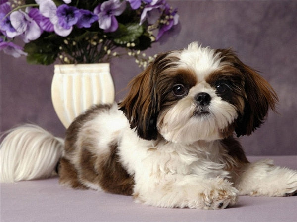 PINTURA DE DIAMANTE LOVE PET