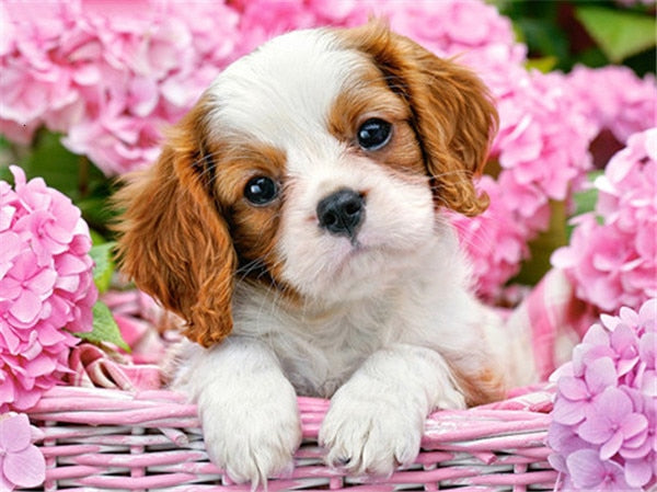 PINTURA DE DIAMANTE LOVE PET