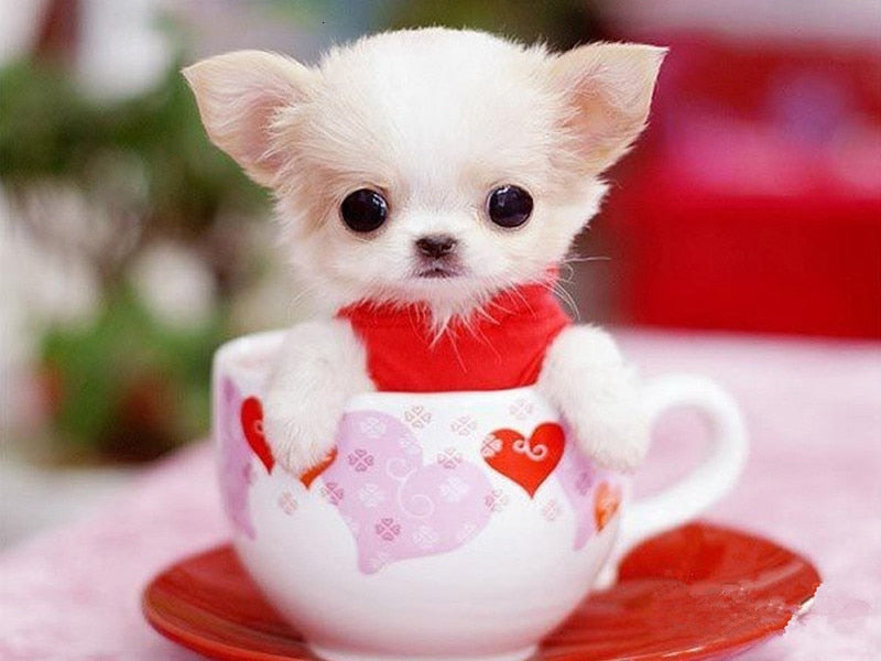 PINTURA DE DIAMANTE LOVE PET