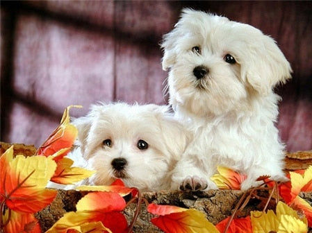 PINTURA DE DIAMANTE LOVE PET