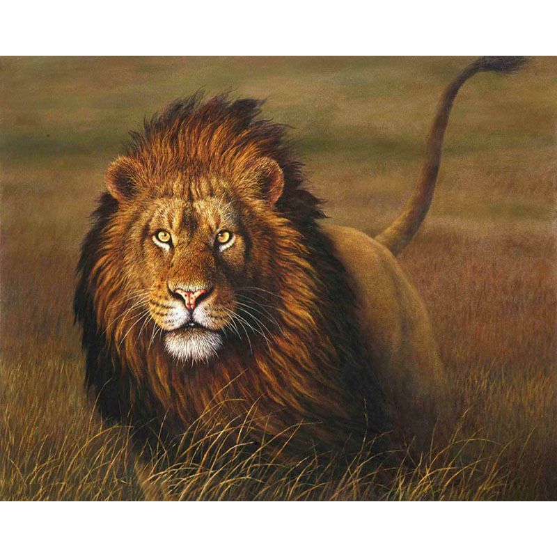 Kit Pintura Numerada Animais