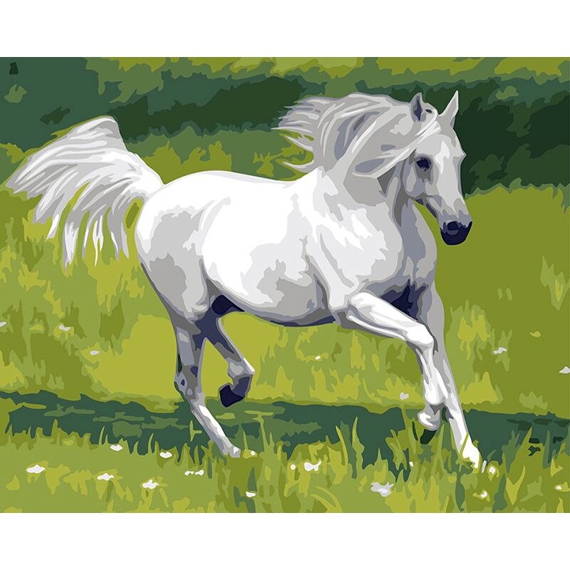 Kit Pintura Numerada Animais