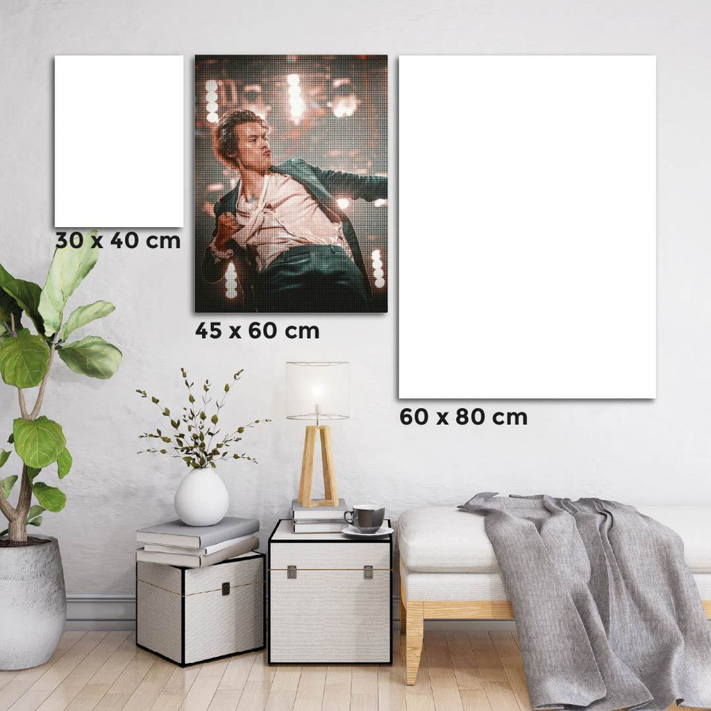 Kit Arte com Diamante - Harry Styles Concert