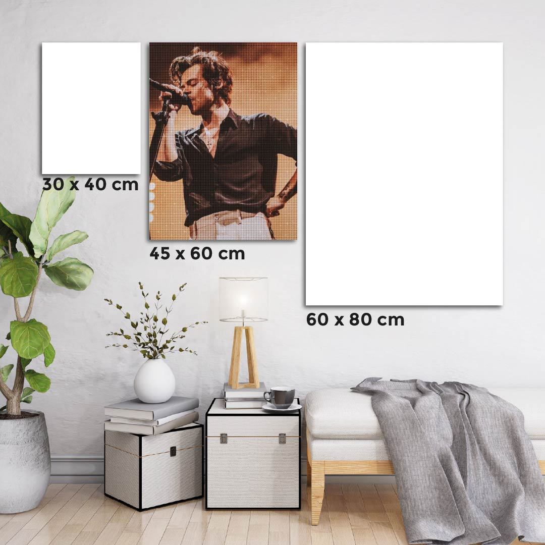 Kit Arte com Diamante - Harry Styles Singer