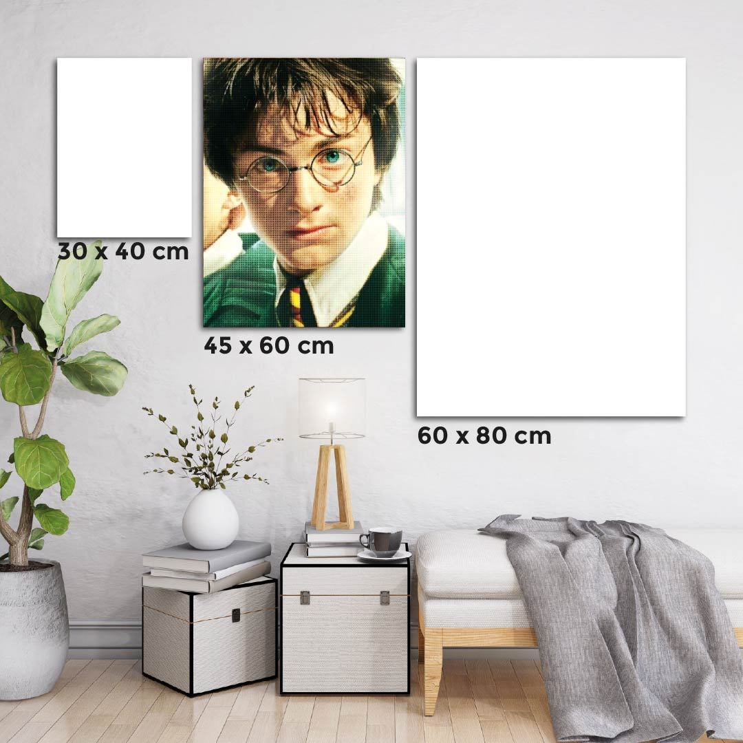 Kit Arte com Diamante - Harry Potter Serious