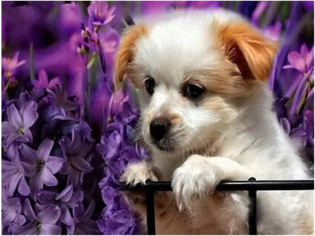 PINTURA DE DIAMANTE LOVE PET