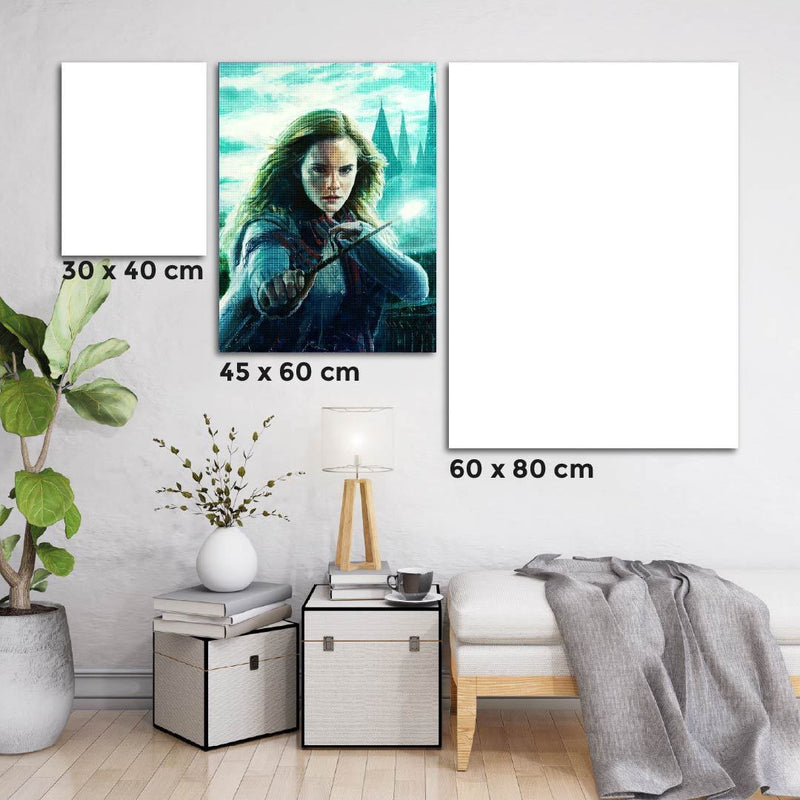 Kit Arte com Diamante - Hermione Painting