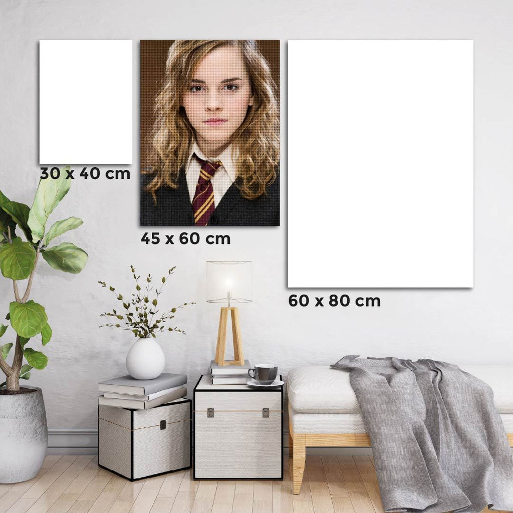 Kit Arte com Diamante - Hermione Teen