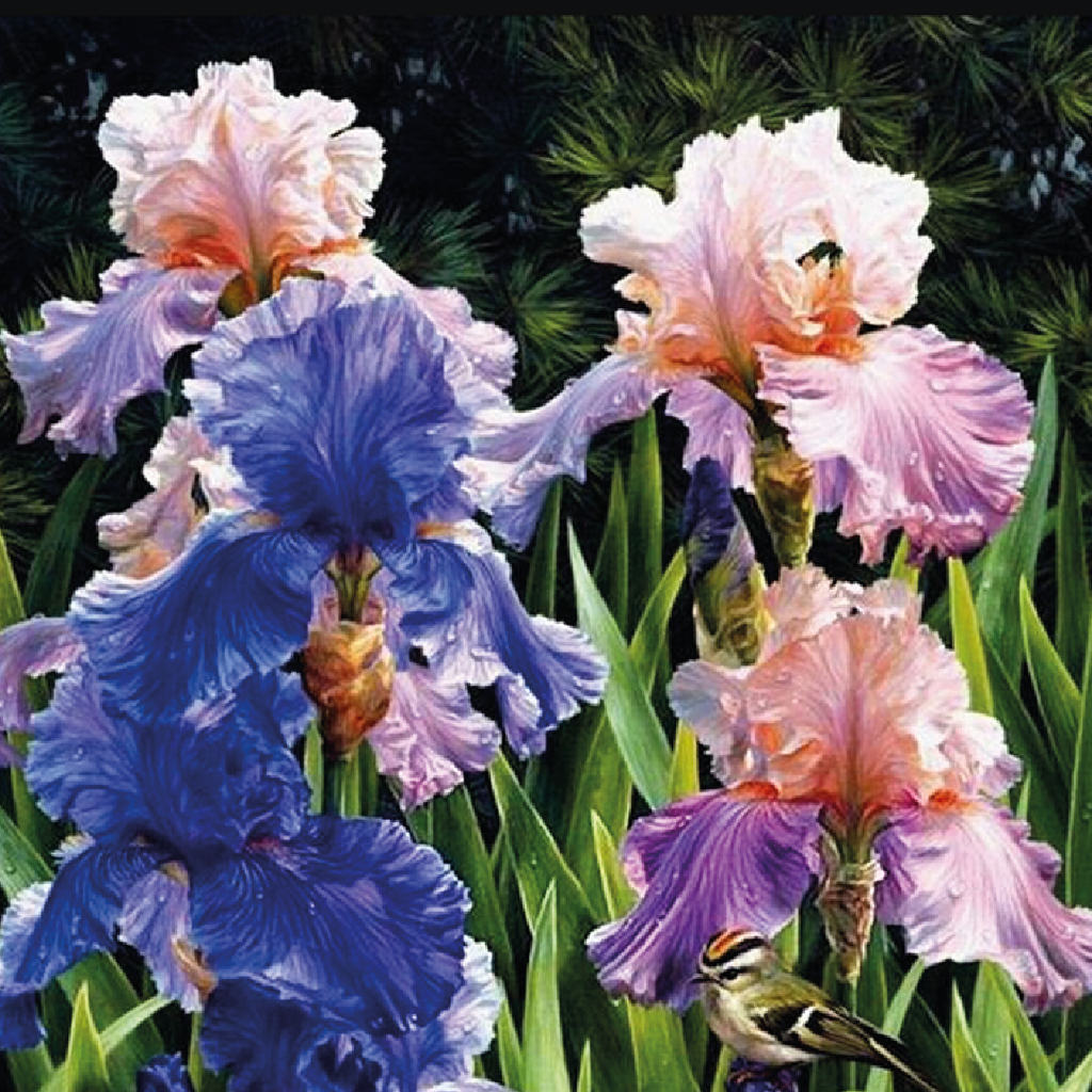 Kit Arte com Diamante - Flor de Iris