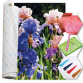 Kit Arte com Diamante - Flor de Iris