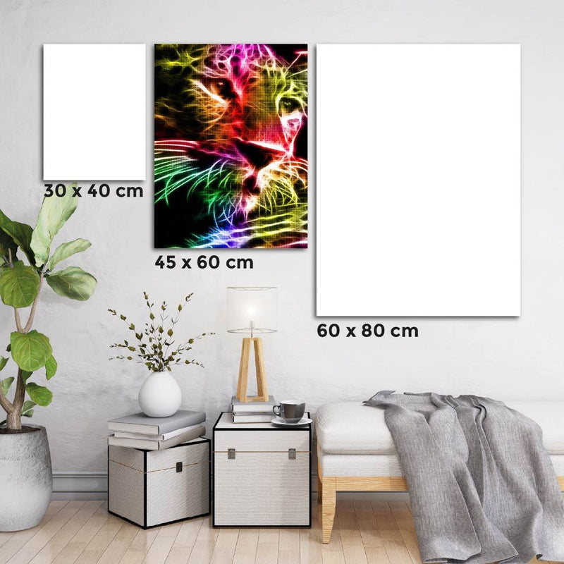 Kit Arte com Diamante - Onça Neon