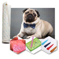 Kit Arte com Diamante - Pug de Gravata