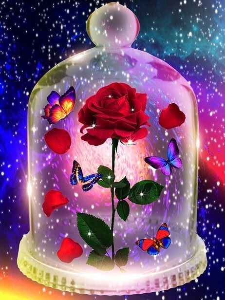 Potes Pintura De Diamantes 5D
