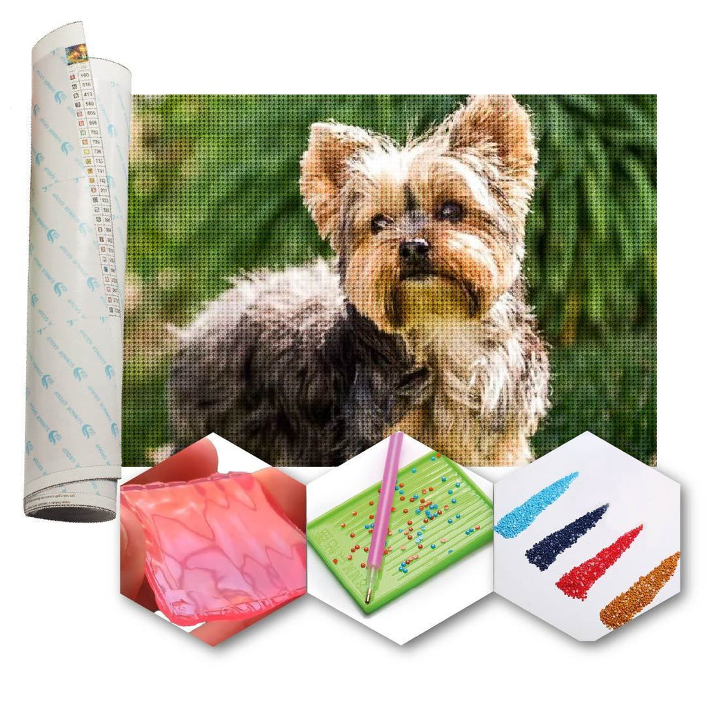Kit Arte com Diamante - Yorkshire 2
